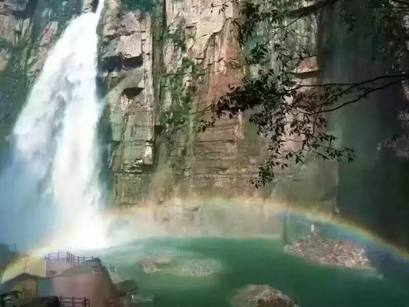 救援受困的老虎