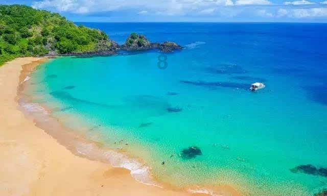 公告！鄱阳湖国家湿地公园游船暂时停航