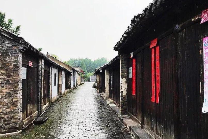 三亚沙滩现多起剧毒僧帽水母伤人事件,网友晒图提醒!官方回应